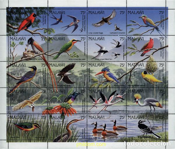 Sellos: 11728 MNH MALAWI 1992 AVES