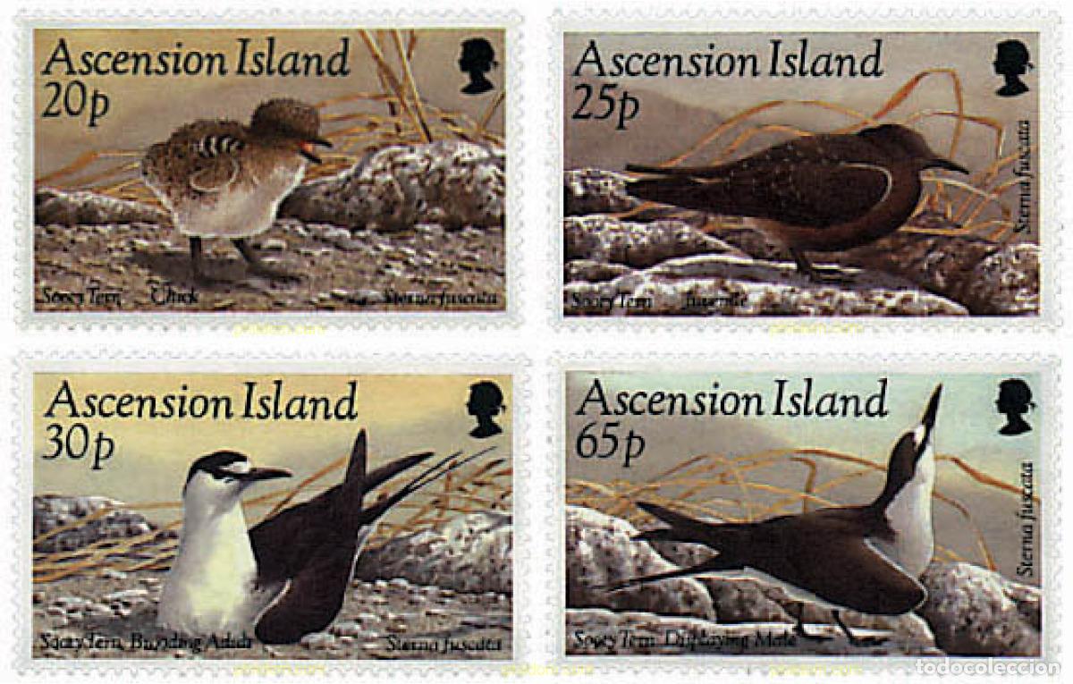 Sellos: 72690 MNH ASCENSION 1994 PROTECCION DE LA FAUNA