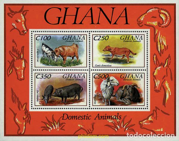 Sellos: 317474 MNH GHANA 1993 FAUNA DOMESTICA