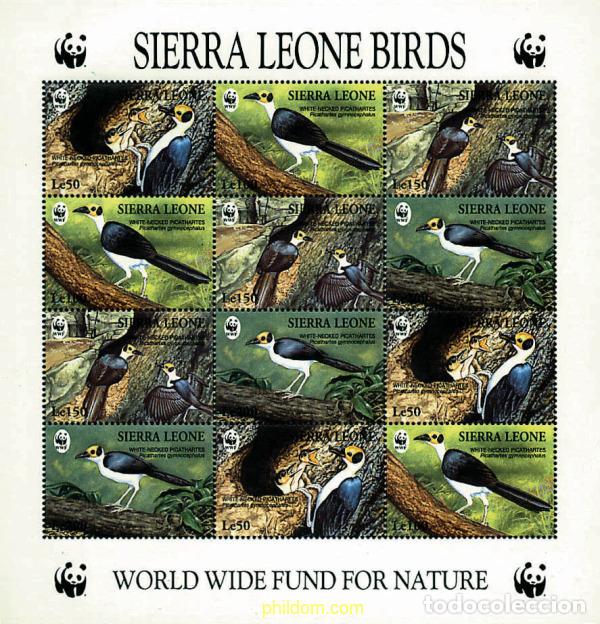Sellos: 12655 MNH SIERRA LEONA 1994 PAVO CALVO DE GUINEA