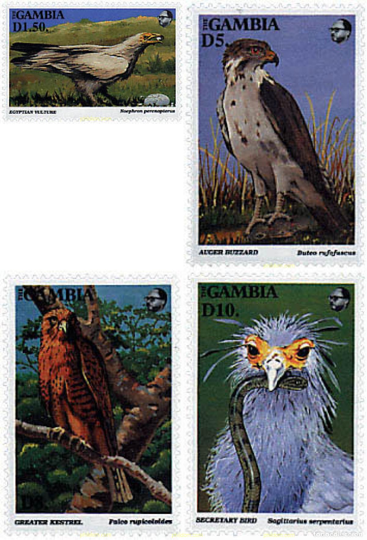 Sellos: 316889 MNH GAMBIA 1993 AVES DE PRESA