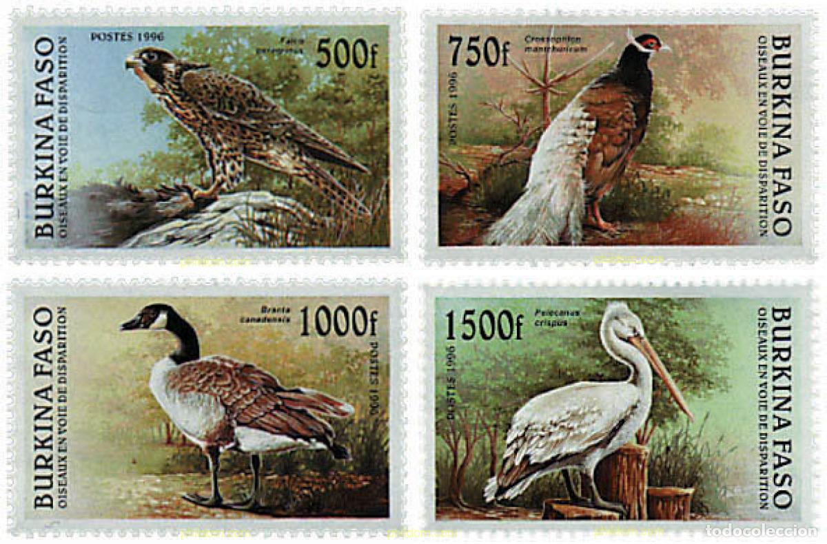 Sellos: 55855 MNH BURKINA FASO 1996 PAJAROS EN VIAS DE EXTINCION