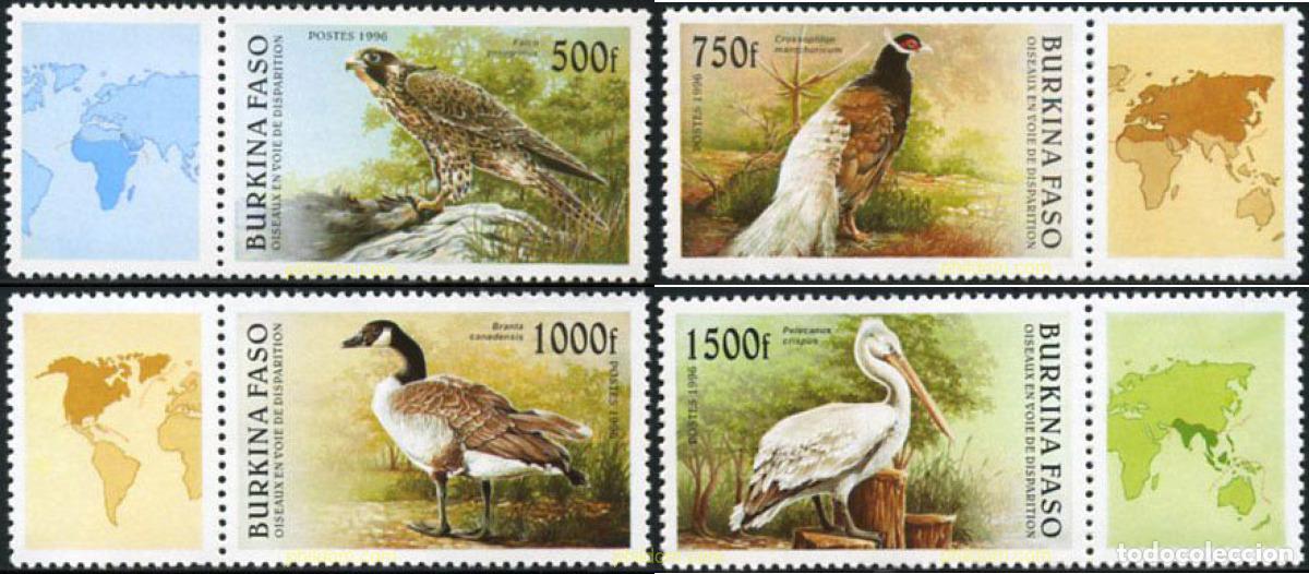Sellos: 206550 MNH BURKINA FASO 1996 PAJAROS EN VIAS DE EXTINCION
