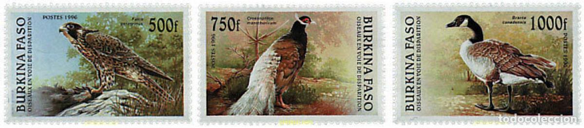 Sellos: 258286 MNH BURKINA FASO 1996 PAJAROS EN VIAS DE EXTINCION
