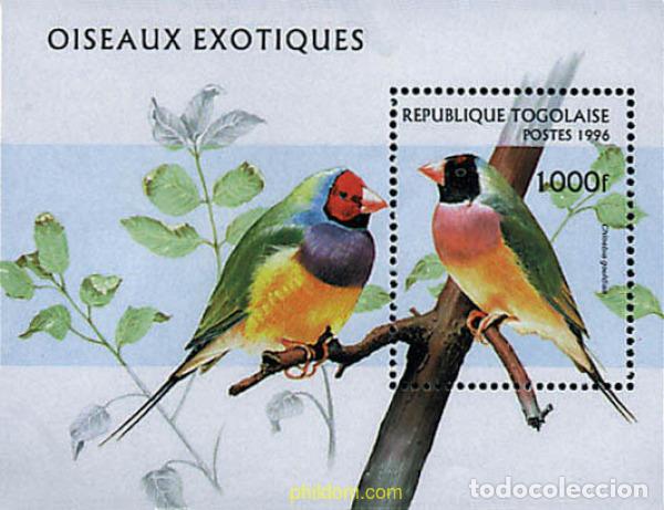 Sellos: 35952 MNH TOGO 1996 PAJAROS EXOTICOS