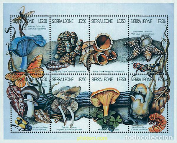 Sellos: 241778 MNH SIERRA LEONA 1996 FAUNA Y FLORA