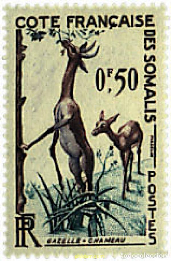 Briefmarken: 624955 MNH COSTA DE LOS SOMALIS 1958 MAMIFEROS
