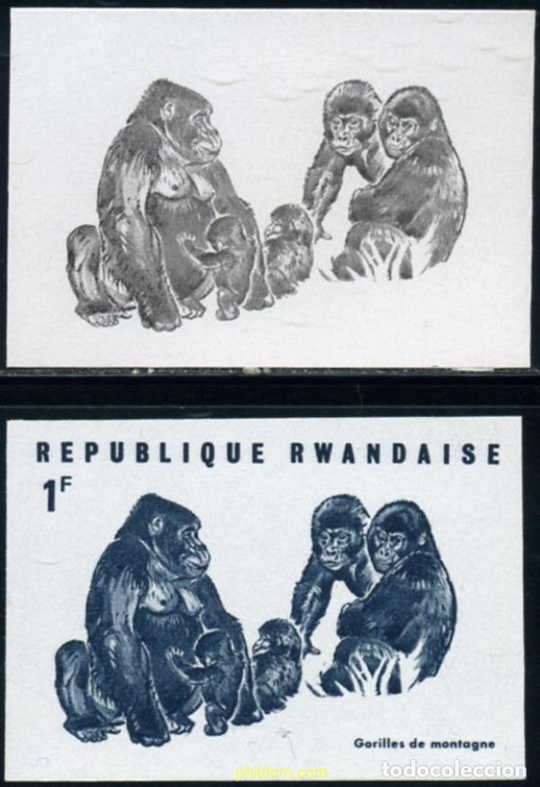 Sellos: 221443 MNH RUANDA 1970 GORILAS