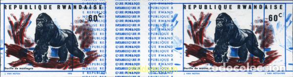 Sellos: 221490 MNH RUANDA 1970 GORILAS