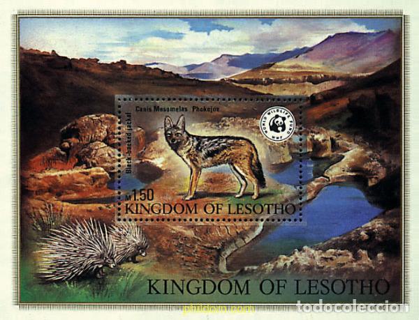 Timbres: 74048 MNH LESOTHO 1981 ANIMALES EN PELIGRO DE EXTINCION