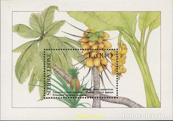 Sellos: 329436 MNH SIERRA LEONA 1987 FAUNA AFRICANA