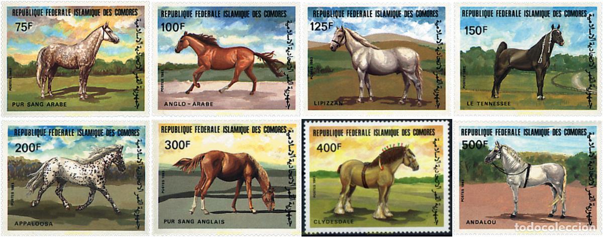 Sellos: 73099 MNH COMORES 1983 CABALLOS