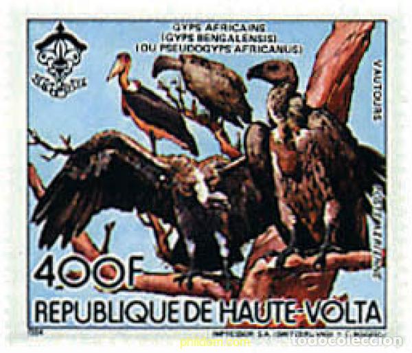 Sellos: 266002 MNH ALTO VOLTA 1984 GUEPARDO