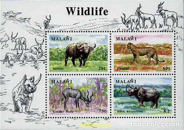 Sellos: 31597 MNH MALAWI 1991 VIDA SALVAJE EN MALAWI