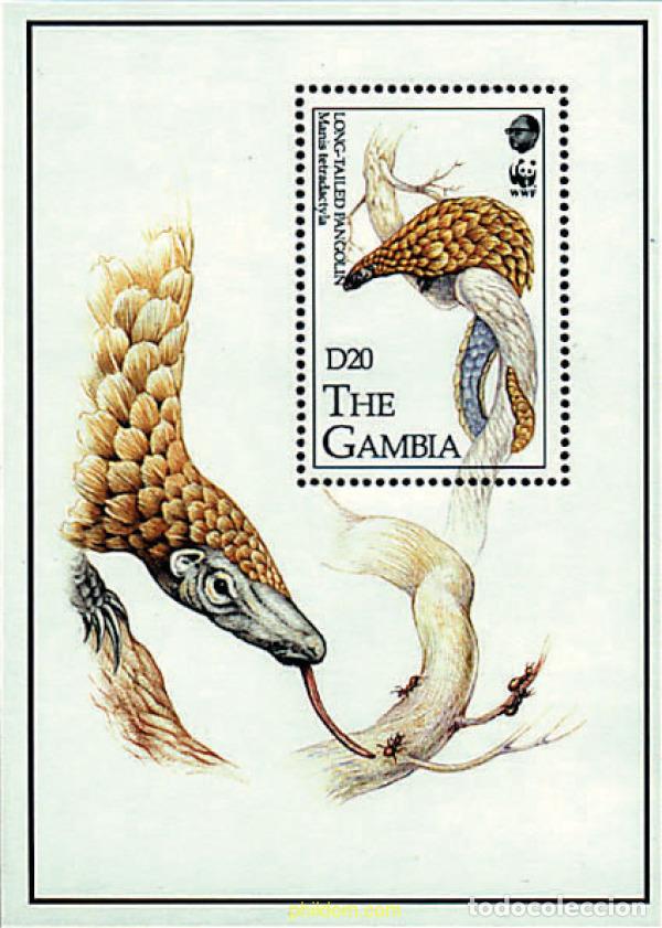 Sellos: 74109 MNH GAMBIA 1993 PANGOLIN DE COLA LARGA