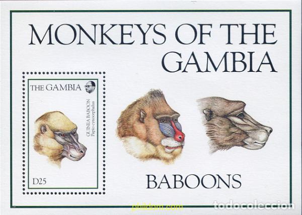 Sellos: 316965 MNH GAMBIA 1994 MONOS