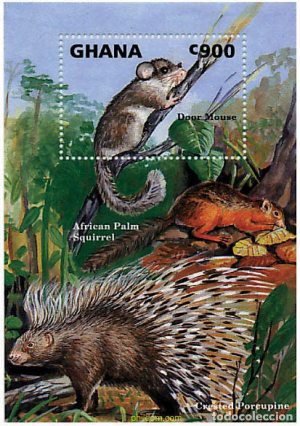 Sellos: 317448 MNH GHANA 1993 FAUNA