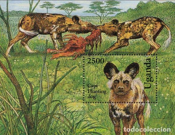 Sellos: 245540 MNH UGANDA 1993 PERROS DE RAZA