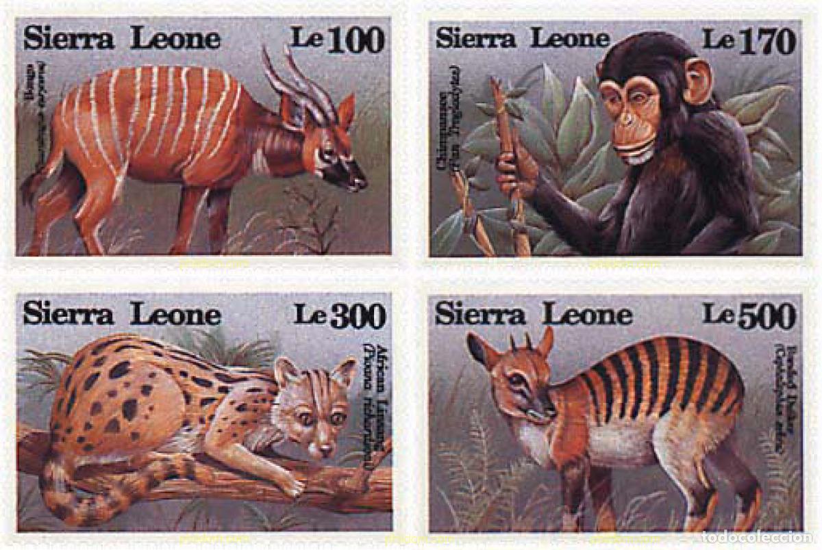 Sellos: 362156 MNH SIERRA LEONA 1993 FAUNA EN PELIGRO DE EXTINCION