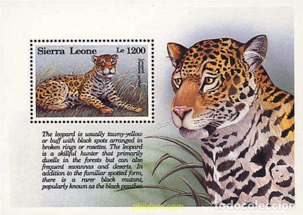 Sellos: 362157 MNH SIERRA LEONA 1993 FAUNA EN PELIGRO DE EXTINCION