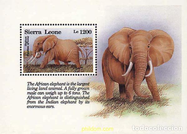 Sellos: 362164 MNH SIERRA LEONA 1993 FAUNA EN PELIGRO DE EXTINCION