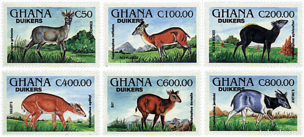 Sellos: 70146 MNH GHANA 1994 ANTILOPES
