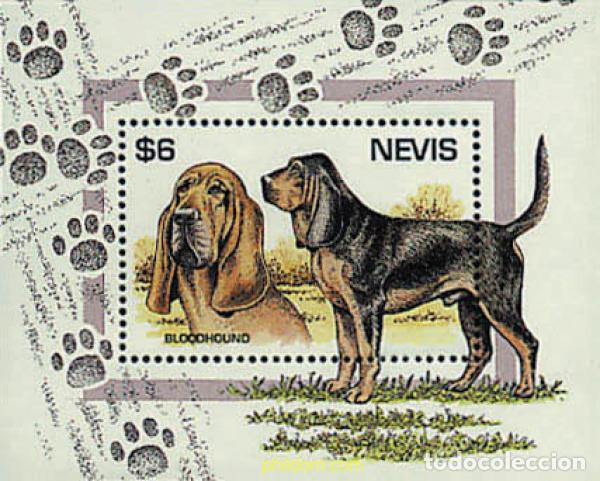 Sellos: 347425 MNH NEVIS 1995 PERROS DE RAZA