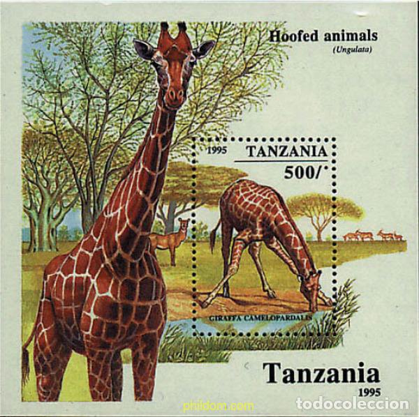 Sellos: 90432 MNH TANZANIA 1995 ANIMALES UNGULADOS