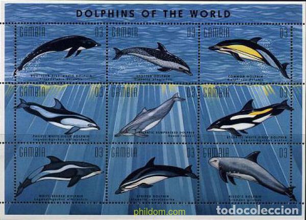 Sellos: 619085 MNH GAMBIA 1995 BALLENAS Y DELFINES