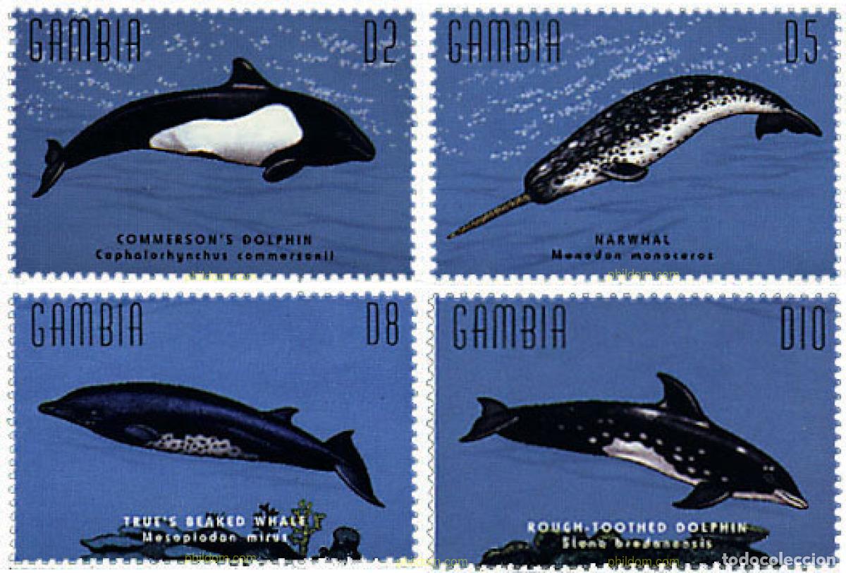 Sellos: 622301 MNH GAMBIA 1995 BALLENAS Y DELFINES