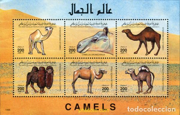 Sellos: 339188 MNH LIBIA 1996 CAMELLOS.