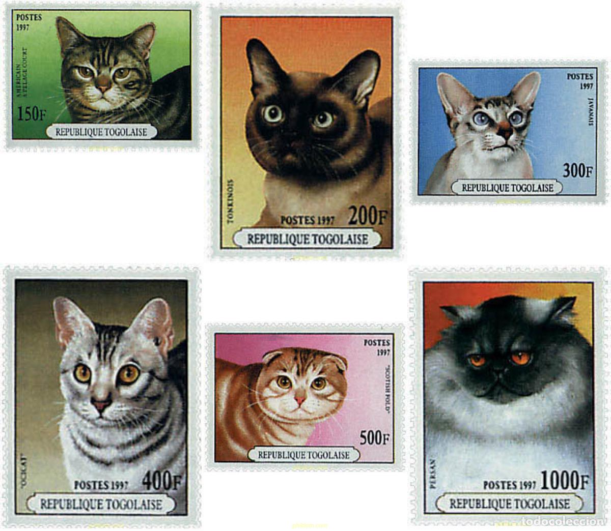Selos: 69806 MNH TOGO 1997 GATOS