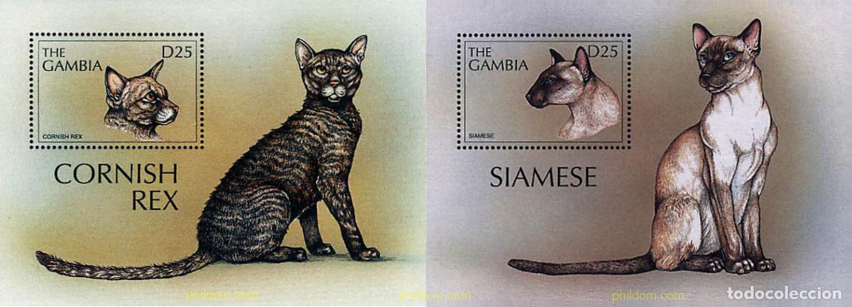Francobolli: 75930 MNH GAMBIA 1997 GATOS DEL MUNDO