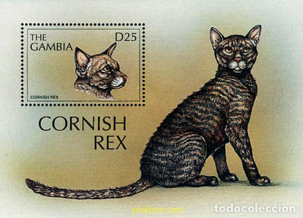 Selos: 317019 MNH GAMBIA 1997 GATOS DEL MUNDO