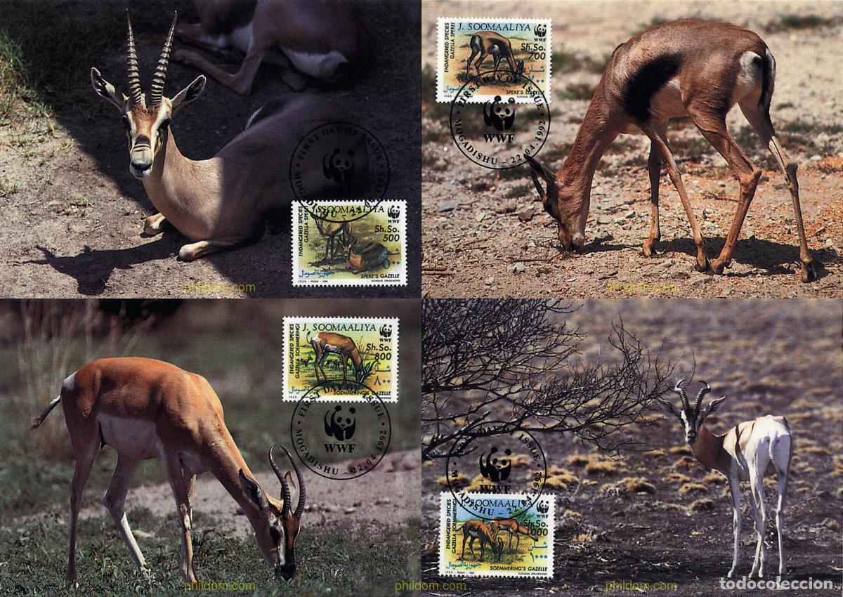 Sellos: 7294 MNH SOMALIA 1992 FAUNA EN PELIGRO DE EXTINCION