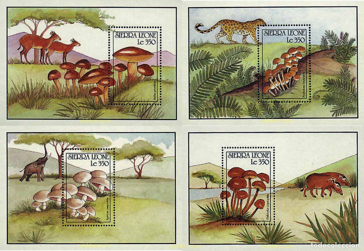 Sellos: 54201 MNH SIERRA LEONA 1990 SETAS