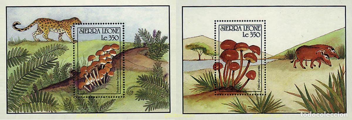 Sellos: 249514 MNH SIERRA LEONA 1990 SETAS