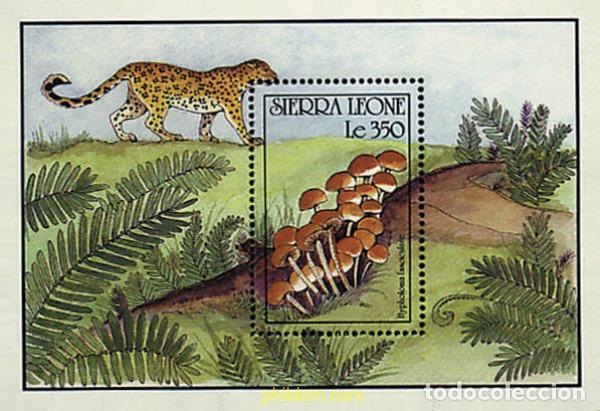 Sellos: 362112 MNH SIERRA LEONA 1990 SETAS