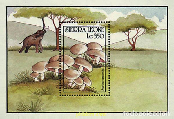 Sellos: 362114 MNH SIERRA LEONA 1990 SETAS