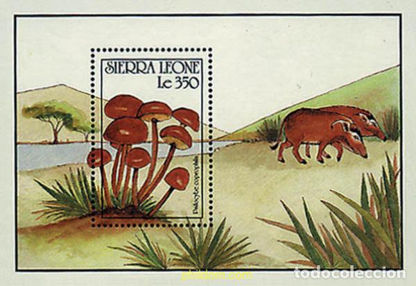 Sellos: 362122 MNH SIERRA LEONA 1990 SETAS