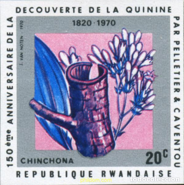 Sellos: 221496 MNH RUANDA 1970 150 ANIVERSARIO DEL DESCUBRIMIENTO DE LA QUININA