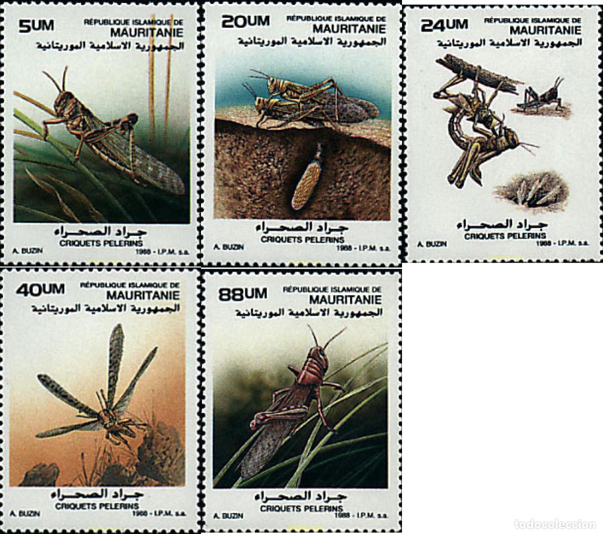 Sellos: 29373 MNH MAURITANIA 1988 SALTAMONTES.