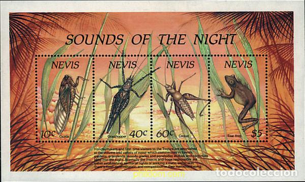Sellos: 41026 MNH NEVIS 1989 INSECTOS NOCTURNOS