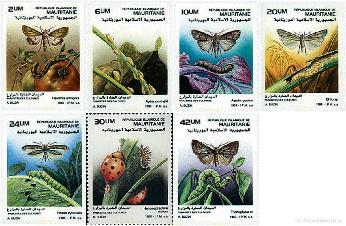 Sellos: 77893 MNH MAURITANIA 1988 INSECTOS