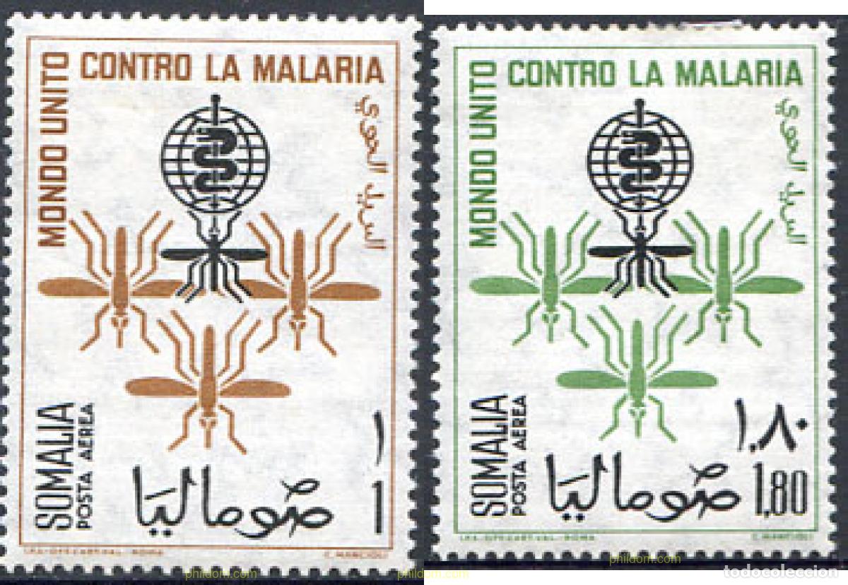 Sellos: 363286 MNH SOMALIA 1962 INSECTOS