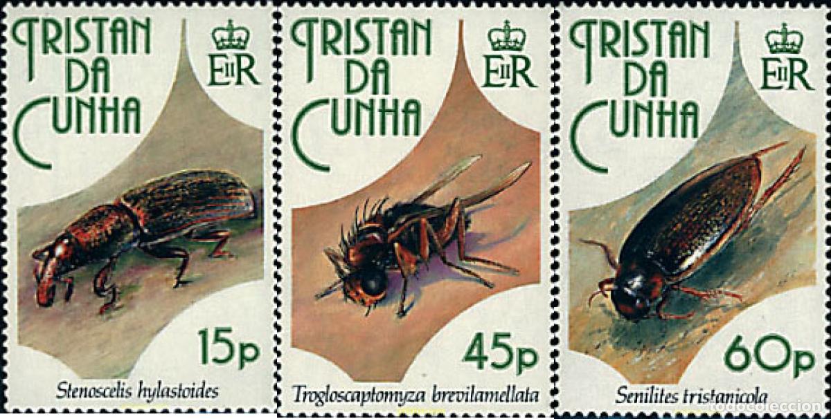 Sellos: 42736 MNH TRISTAN DA CUNHA 1993 INSECTOS