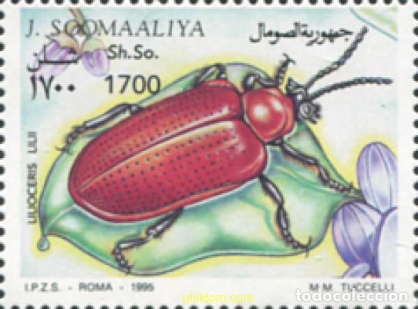 Sellos: 363284 MNH SOMALIA 1995 INSECTOS