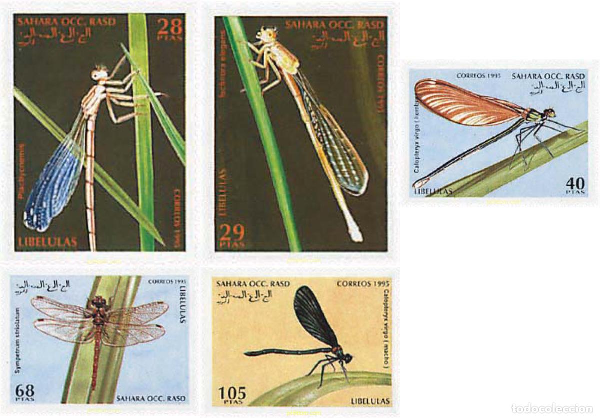 Sellos: 35715 MNH REPUBLICA ARABE SAHAURI DEMOCRATICA 1995 INSECTOS