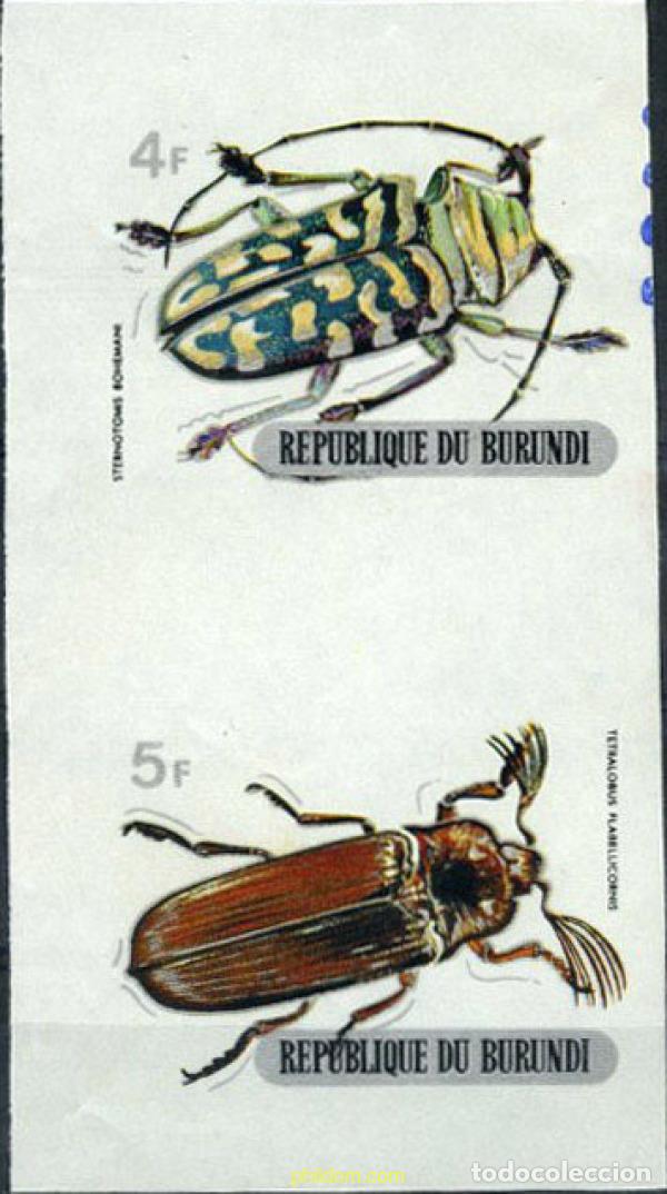 Sellos: 202243 MNH BURUNDI 1970 COLEOPTEROS