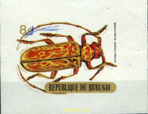 Sellos: 202246 MNH BURUNDI 1970 COLEOPTEROS